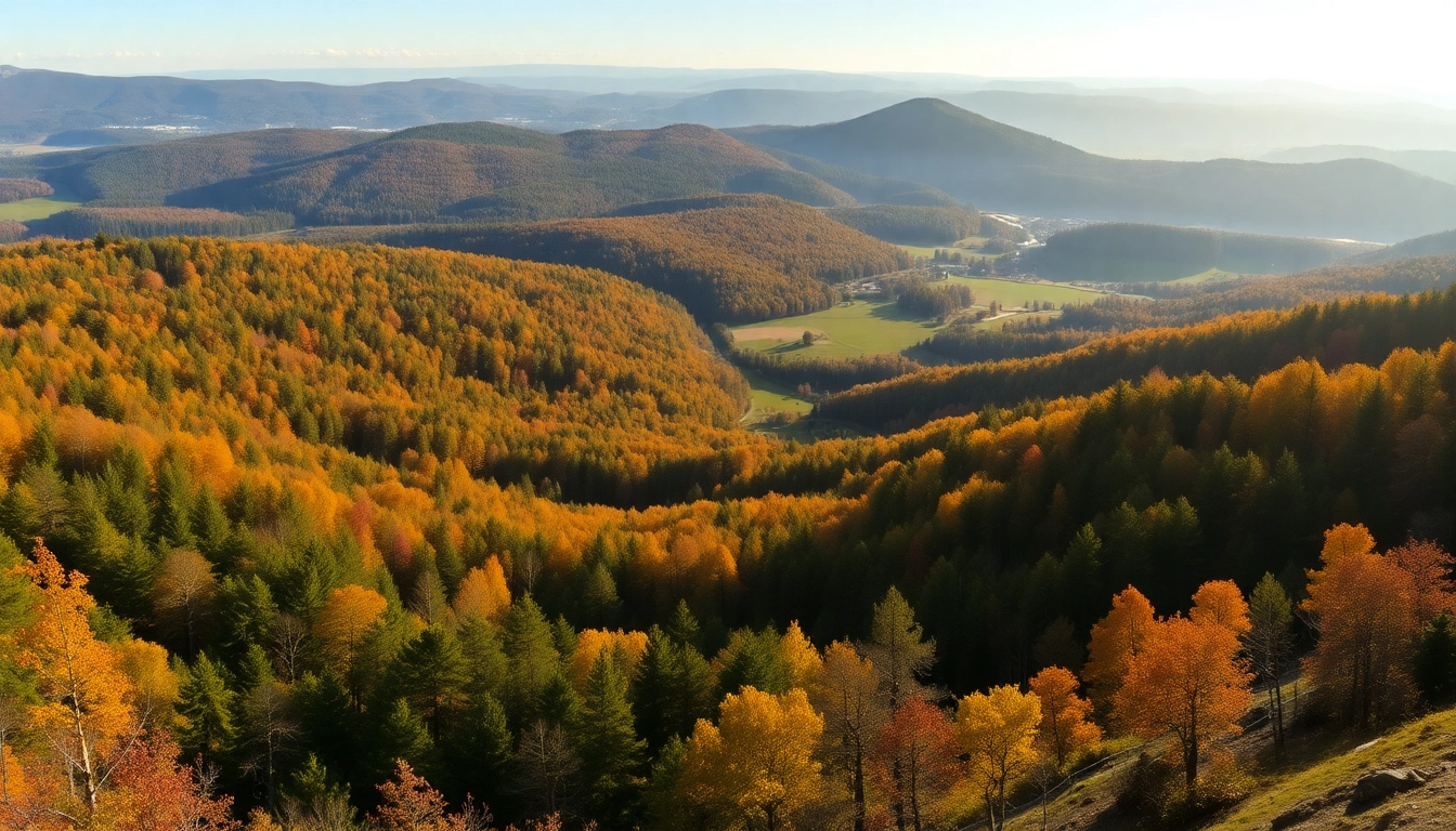 Thüringer Wald: Discover Germany’s Majestic Forest Mountain Range and Its Hidden Treasures